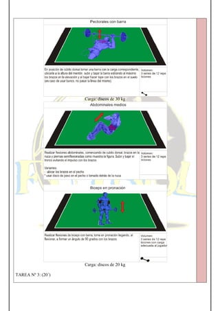 Carga: discos de 30 kg
Carga: discos de 20 kg
TAREA Nº 3: (20´)
 