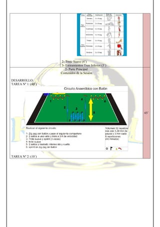 2- Trote Suave (4’)
3- Estiramientos Tren Inferior (3´)
2- Parte Principal
Contenidos de la Sesión
DESARROLLO:
TAREA Nº 1: (40´)
TAREA Nº 2: (10´)
65´
 