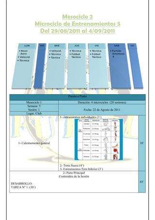Mesociclo 2
Microciclo de Entrenamientos 5
Del 29/08/2011 al 4/09/2011
Puesta a Punto
Mesociclo 1 Duración: 4 microciclos (20 sesiones)
Semana: 5
Sesión: 1 Fecha: 22 de Agosto de 2011
Lugar. Club
1- Calentamiento general
1- estiramientos individuales (3´)
2- Trote Suave (4’)
3- Estiramientos Tren Inferior (3´)
10´
2- Parte Principal
Contenidos de la Sesión
DESARROLLO:
TAREA Nº 1: (30´)
65´
 