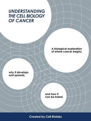 UNDERSTANDING
THE CELL BIOLOGY
OF CANCER
A biological exploration
of where cancer begins,
why it develops
and spreads,
and how it
can be trated.
Created by Cell Biolabs
 