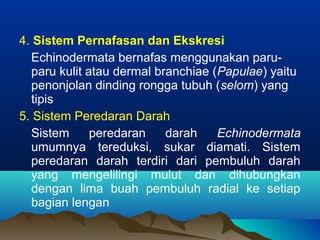 4. Sistem Pernafasan dan Ekskresi
Echinodermata bernafas menggunakan paruparu kulit atau dermal branchiae (Papulae) yaitu
penonjolan dinding rongga tubuh (selom) yang
tipis
5. Sistem Peredaran Darah
Sistem
peredaran
darah
Echinodermata
umumnya tereduksi, sukar diamati. Sistem
peredaran darah terdiri dari pembuluh darah
yang mengelilingi mulut dan dihubungkan
dengan lima buah pembuluh radial ke setiap
bagian lengan

 