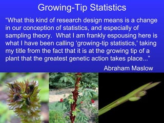 Growing-Tip Statistics “ What this kind of research design means is a change in our conception of statistics, and especially of sampling theory.  What I am frankly espousing here is what I have been calling ‘growing-tip statistics,' taking my title from the fact that it is at the growing tip of a plant that the greatest genetic action takes place...” Abraham Maslow 