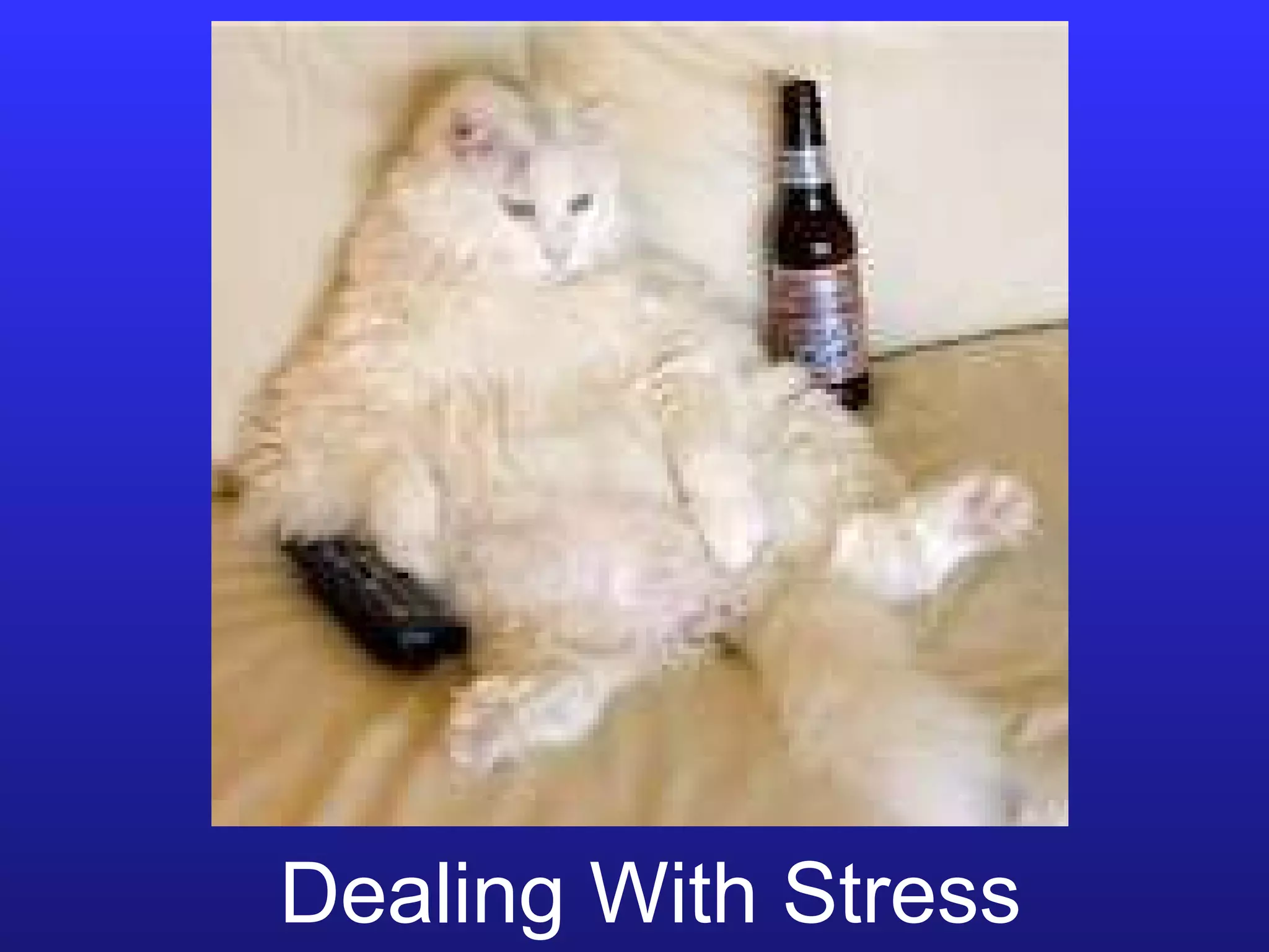 Dealing With Stress 