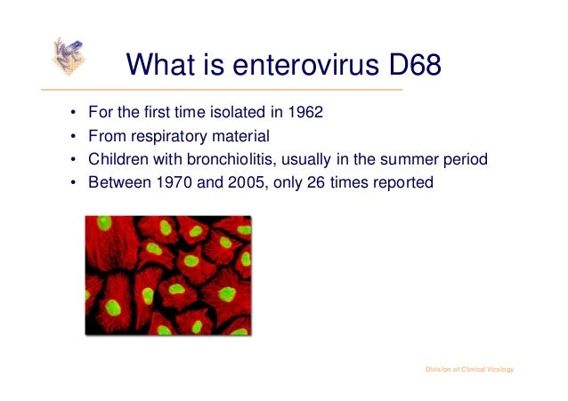 Enterovirus D68 An Underestimated Pathogen Prof Niesters Enterovirus D68 An Underestimated Pathogen Prof Niesters
