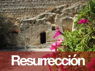 Resurrección
 