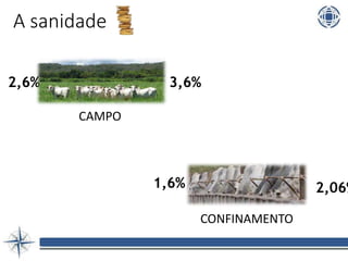 A sanidade
CAMPO
2,6% 3,6%
CONFINAMENTO
1,6% 2,06%
 