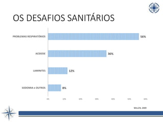 OS DESAFIOS SANITÁRIOS
8%
12%
36%
56%
0% 10% 20% 30% 40% 50% 60%
SODOMIA e OUTROS
LAMINITES
ACIDOSE
PROBLEMAS RESPIRATÓRIOS
MILLEN, 2009
 