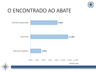 O ENCONTRADO AO ABATE
3.29%
11.58%
8.30%
0.00% 2.00% 4.00% 6.00% 8.00% 10.00% 12.00% 14.00%
Abcesso hepático
Ruminite
Pulmão hepatizado
VECHIATO, 2009
 