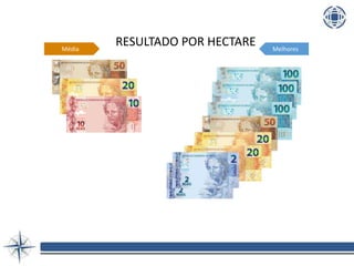 Média Melhores
RESULTADO POR HECTARE
 
