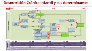 Desnutrición Crónica Infantil y sus determinantes
 