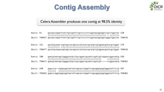 Contig Assembly
12
Celera Assembler produces one contig at 98.5% identity
 