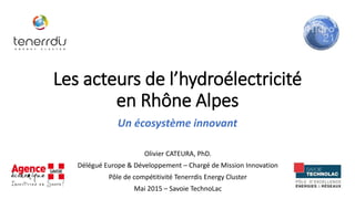 Les acteurs de l’hydroélectricité
en Rhône Alpes
Un écosystème innovant
Olivier CATEURA, PhD.
Délégué Europe & Développement – Chargé de Mission Innovation
Pôle de compétitivité Tenerrdis Energy Cluster
Mai 2015 – Savoie TechnoLac
 