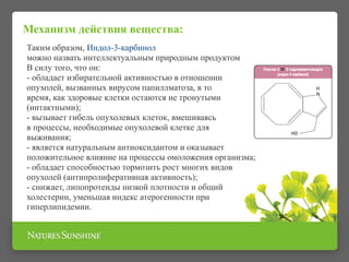 Механизм действия вещества:
Таким образом, Индол-3-карбинол
можно назвать интеллектуальным природным продуктом
В силу того, что он:
- обладает избирательной активностью в отношении
опухолей, вызванных вирусом папиллматоза, в то
время, как здоровые клетки остаются не тронутыми
(интактными);
- вызывает гибель опухолевых клеток, вмешиваясь
в процессы, необходимые опухолевой клетке для
выживания;
- является натуральным антиоксидантом и оказывает
положительное влияние на процессы омоложения организма;
- обладает способностью тормозить рост многих видов
опухолей (антипролиферативная активность);
- снижает, липопротеиды низкой плотности и общий
холестерин, уменьшая индекс атерогенности при
гиперлипидемии.
 