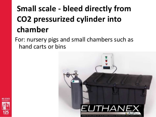 to draw with animals how numbers Mark Depopulation  Planning Mass of Rice Emergency  for