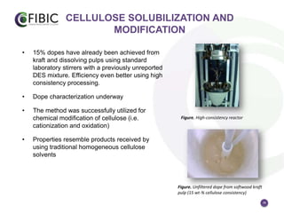 10
CELLULOSE SOLUBILIZATION AND
MODIFICATION
• 15% dopes have already been achieved from
kraft and dissolving pulps using standard
laboratory stirrers with a previously unreported
DES mixture. Efficiency even better using high
consistency processing.
• Dope characterization underway
• The method was successfully utilized for
chemical modification of cellulose (i.e.
cationization and oxidation)
• Properties resemble products received by
using traditional homogeneous cellulose
solvents
Figure. Unfiltered dope from softwood kraft
pulp (15 wt-% cellulose consistency)
Figure. High-consistency reactor
 