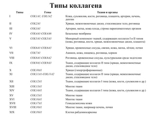 Типы Гены Ткани и органы
I COL1A1, COL1A2 Кожа, сухожилия, кости, роговица, плацента, артерии, печень,
дентин
II COL2A1 Хрящи, межпозвоночные диски, стекловидное тело, роговица
III COL3A1 Артерии, матка, кожа плода, строма паренхиматозных органов
IV COL4A1-COL4A6 Базальные мембраны
V COL5A1-COL5A3 Минорный компонент тканей, содержащих коллаген I и II типов
(кожа, роговица, кости, хрящи, межпозвоночные диски, плацента)
VI COL6A1-COL6A3 Хрящи, кровеносные сосуды, связки, кожа, матка, лёгкие, почки
VII COL7A1 Амнион, кожа, пищевод, роговица, хорион
VIII COL8A1-COL8A2 Роговица, кровеносные сосуды, культуральная среда эндотелия
IX COL9A1-COL9A3 Ткани, содержащие коллаген II типа (хрящи, межпозвоночные
диски, стекловидное тело)
X COL10A1 Хрящи (гипертрофированные)
XI COL11A1-COL11A2 Ткани, содержащие коллаген II типа (хрящи, межпозвоночные
диски, стекловидное тело)
XII COL12A1 Ткани, содержащие коллаген I типа (кожа, кости, сухожилия и др.)
XIII COL13A1 Многие ткани
XIV COL14A1 Ткани, содержащие коллаген I типа (кожа, кости, сухожилия и др.)
XV COL15A1 Многие ткани
XVI COL16A1 Многие ткани
XVII COL17A1 Гемидесмосомы кожи
XVIII COL18A1 Многие ткани, например печень, почки
XIX COL19A1 Клетки рабдомиосаркомы
Типы коллагена
 