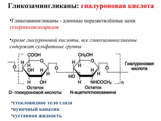 Гликозамингликаны: гиалуроновая кислота
•Гликозамингликаны - длинные неразветвлённые цепи
гетерополисахаридов
•кроме гиалуроновой кислоты, все гликозаминогликаны
содержат сульфатные группы
•стекловидное тело глаза
•пупочный канатик
•суставная жидкость
 