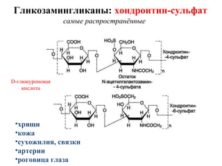 Гликозамингликаны: хондроитин-сульфат
самые распространённые
•хрящи
•кожа
•сухожилия, связки
•артерии
•роговица глаза
D-глюкуроновая
кислота
 