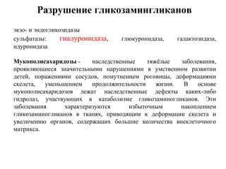 экзо- и эндогликозидазы
сульфатазы: гиалуронидаза, глюкуронидаза, галактозидаза,
идуронидаза
Мукополисахаридозы - наследственные тяжёлые заболевания,
проявляющиеся значительными нарушениями в умственном развитии
детей, поражениями сосудов, помутнением роговицы, деформациями
скелета, уменьшением продолжительности жизни. В основе
мукополисахаридозов лежат наследственные дефекты каких-либо
гидролаз, участвующих в катаболизме гликозаминогликанов. Эти
заболевания характеризуются избыточным накоплением
гликозаминогликанов в тканях, приводящим к деформации скелета и
увеличению органов, содержащих большие количества внеклеточного
матрикса.
Разрушение гликозамингликанов
 