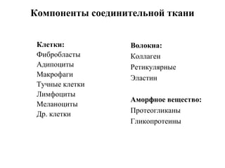 Компоненты соединительной ткани
Клетки:
Фибробласты
Адипоциты
Макрофаги
Тучные клетки
Лимфоциты
Меланоциты
Др. клетки
Волокна:
Коллаген
Ретикулярные
Эластин
Аморфное вещество:
Протеогликаны
Гликопротеины
 