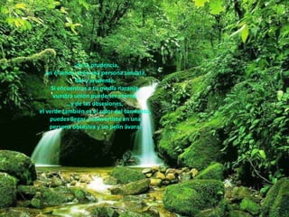 … de la prudencia, en el amor, eres una persona sensata, fiel y prudente.  Si encuentras a tu media naranja, vuestra unión puede ser eterna.  … y de las obsesiones,  el verde también es el color del tormento, puedes llegar a convertirte en una  persona obsesiva y un pelín ávara. 