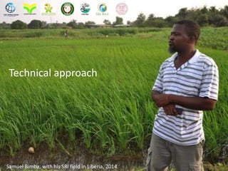 Technical approach
Samuel Bimba, with his SRI field in Liberia, 2014
 