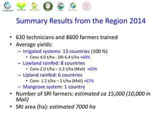 Summary Results from the Region 2014
• 630 technicians and 8600 farmers trained
• Average yields:
– Irrigated systems: 13 ...