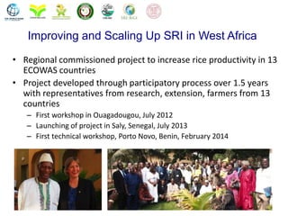 1507 - Improving and Scaling Up SRI in West Africa - A Success Story