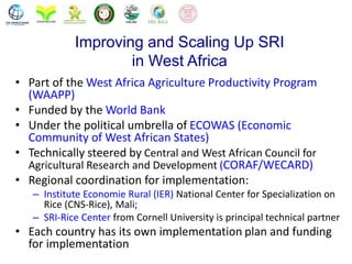 Improving and Scaling Up SRI
in West Africa
• Part of the West Africa Agriculture Productivity Program
(WAAPP)
• Funded by...