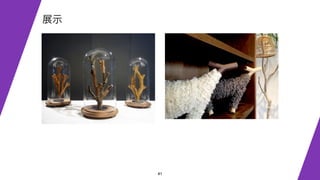 41
展示
 