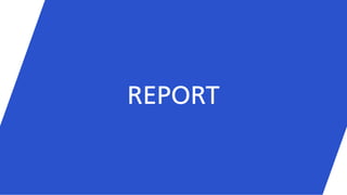 REPORT
 