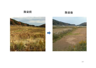 267
除染前 除染後
 