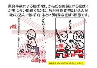 4
γ線
β線
α線
原発事故による被ばくは、からだを突き抜ける被ばく
が実に長い間続くほかに、放射性物質を吸い込んだ
り飲み込んで被ばくするという特殊な被ばく形態です。
柚木ミサトさんのイラストをもとにしました
β線α線
 
