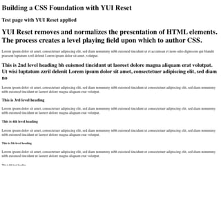 Professional web development with libraries