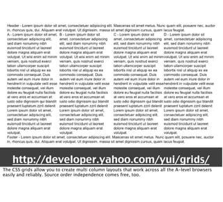 Professional web development with libraries