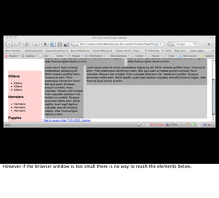 Professional web development with libraries