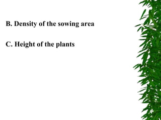B. Density of the sowing area
C. Height of the plants
 
