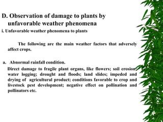D. Observation of damage to plants by
unfavorable weather phenomena
i. Unfavorable weather phenomena to plants
The following are the main weather factors that adversely
affect crops.
a. Abnormal rainfall condition.
Direct damage to fragile plant organs, like flowers; soil erosion;
water logging; drought and floods; land slides; impeded and
drying of agricultural product; conditions favorable to crop and
livestock pest development; negative effect on pollination and
pollinators etc.
 