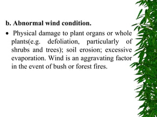 b. Abnormal wind condition.
 Physical damage to plant organs or whole
plants(e.g. defoliation, particularly of
shrubs and trees); soil erosion; excessive
evaporation. Wind is an aggravating factor
in the event of bush or forest fires.
 