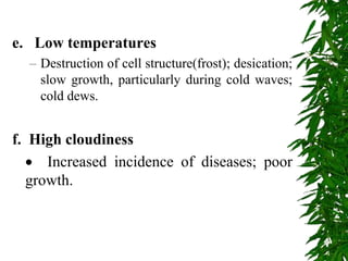 e. Low temperatures
– Destruction of cell structure(frost); desication;
slow growth, particularly during cold waves;
cold dews.
f. High cloudiness
 Increased incidence of diseases; poor
growth.
 
