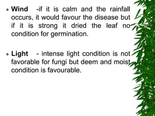  Wind -if it is calm and the rainfall
occurs, it would favour the disease but
if it is strong it dried the leaf no
condition for germination.
 Light - intense light condition is not
favorable for fungi but deem and moist
condition is favourable.
 