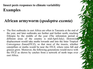 Insect pests responses to climate variability
Examples
African armyworm (spodoptra exemta)
 The first outbreaks in east Africa are often in Tanzania at the end of
the year, and later outbreaks are further and further north, reaching
Ethiopia by the middle of the year (The infestation period at
different areas of the country is mid-April-July). Downwind
displacement would take moths towards and into the Inter Tropical
Convergence Zones(ITCZ), so that most of the insects, whether
caterpillars or moths would be near the ITCZ, where rains fall and
grasses grow. Moreover, the following generations would move with
the ITCZ as shown by catches from a network of moth traps over
east Africa.
 