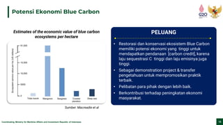 Coordinating Ministry for Maritime Affairs and Investment Republic of Indonesia 15
Potensi Ekonomi Blue Carbon
Sumber: Macreadie et al
Estimates of the economic value of blue carbon
ecosystems per hectare
PELUANG
• Restorasi dan konservasi ekosistem Blue Carbon
memiliki potensi ekonomi yang tinggi untuk
mendapatkan pendanaan [carbon credit], karena
laju sequestrasi C tinggi dan laju emisinya juga
tinggi.
• Sebagai demonstration project & transfer
pengetahuan untuk mempromosikan praktik
terbaik.
• Pelibatan para pihak dengan lebih baik.
• Berkontribusi terhadap peningkatan ekonomi
masyarakat.
 