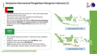 Kementerian Koordinator Bidang Kemaritiman dan Investasi 16
Kerjasama Internasional Pengelolaan Mangrove Indonesia (1)
• Akan diadakan Kerjasama antara RI – Arab Saudi untuk rehabilitasi
mangrove
• Diajukan 9 lokasi prioritas dengan total 150.000 Ha untuk
rehabilitasi dan usulan dana USD 800 Juta
• Lokasi: Kepulauan Riau, Kalimantan Barat, Kalimantan Selatan,
Aceh, Jawa Tengah, Sulawesi Selatan, Sumatera Selatan, dan NTT
• Telah ditandatangani MoU dan IA antara RI – UAE untuk Pengembangan
Mangrove di Bulan Februari 2022
• MoU susulan untuk Joint Project Arrangement pada Mangrove
Development pada tanggal 1 Juli 2022
• MoU ini akan mendukung pengembangan MBZ Internasional Mangrove
Research Center (MBZIMRC) dan Mangrove Alliance for Climate (MAC)
• Lokasi Kerjasama adalah Bangka Belitung dengan total usulan seluas
10.000 Ha
Lokasi Kerjasama RI - UAE
Lokasi Kerjasama RI - KSA
 