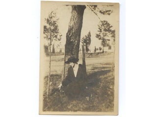 RECOLLECT Then & Now