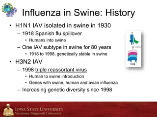 Dr. Phil Gauger - Influenza ‘A’ Virus in Swine: Overview of Disease and ...