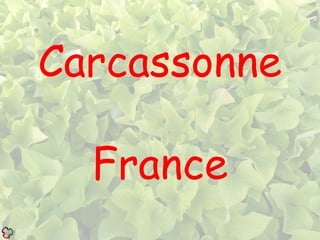 Carcassonne
France
 