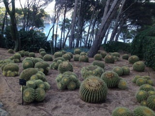 Jardins de Cap Roig