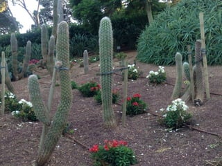 Jardins de Cap Roig