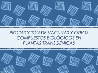 PRODUCCIÓN DE VACUNAS Y OTROS
COMPUESTOS BIOLÓGICOS EN
PLANTAS TRANSGÉNICAS

 